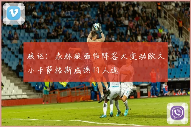 狼记：森林狼面临阵容大变动欧文小卡萨格斯成热门人选